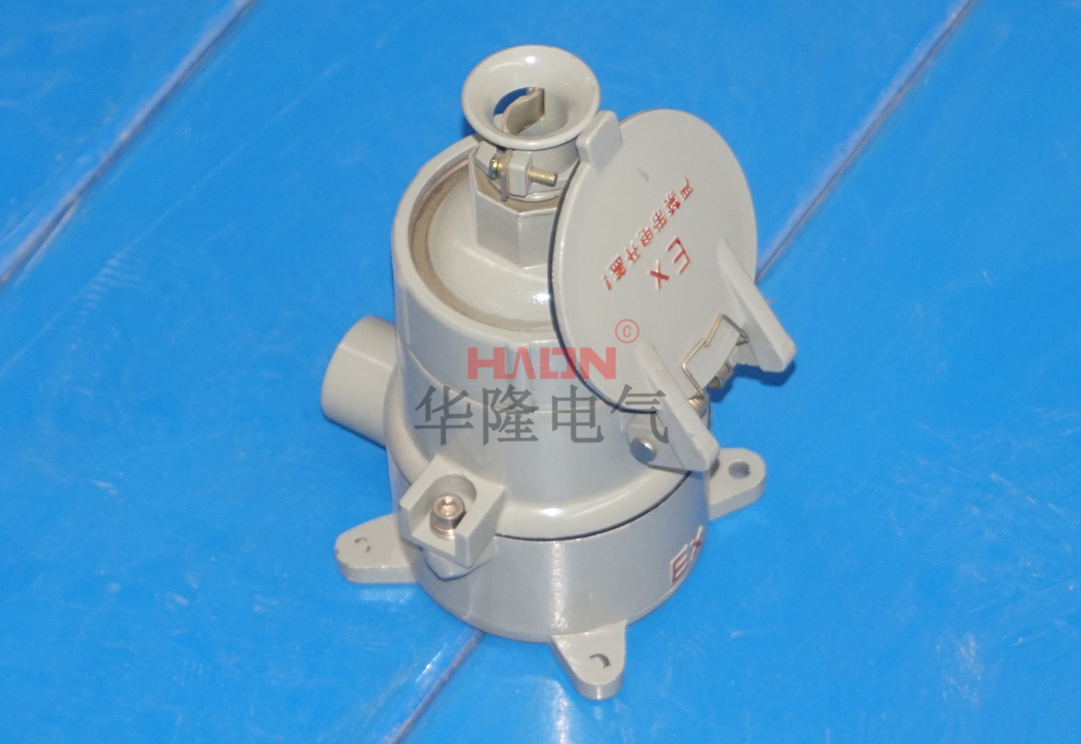 防爆插销 防爆插销